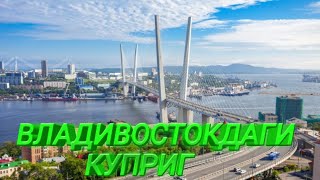 ВЛАДИВОСТОК КУПРИГДАН ВЕДЁ