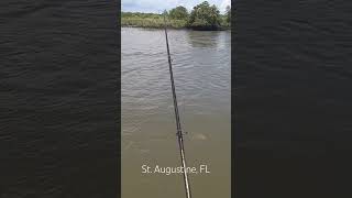 #fishing #crabs #reddrum #redfish #staugustine #florida #gheenoe #reds