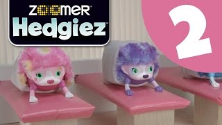 Zoomer | Hedgiez | Off To The Spa