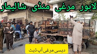 Ando wali murghi Shalimar Bagh Sunday Bazar Price update Lahore Pakistan