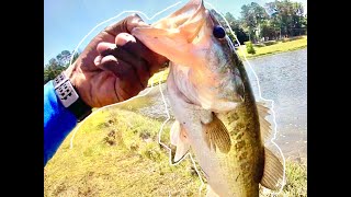 Catching HUGE BASS at a Florida Ranch!!! (PB BASS OR BUST!)