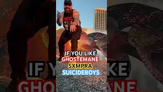 If You Like SUICIDEBOYS, SXMPRA & GHOSTEMANE