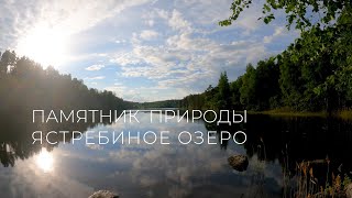 Ястребиное Озеро. По тропе Хо Ши Мина🎵  [4K] лето