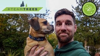 Puggle Plants 20 Million Trees?! #TeamTrees 🌳