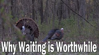 【Camojojo】The Power of Patience: How to Outsmart Turkeys and Bag Your Prize