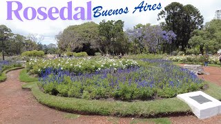 A Serene FPV Walk Through Buenos Aires' Rosedal Garden | Virtual Stroll in Argentina's Oasis