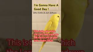 Yellow Budgie 💛Bible Verse For Today ! Psalm 118:24 - Today Is A Good Day !