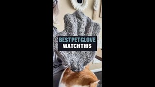 Best Pet Glove #pets #shorts #hacks