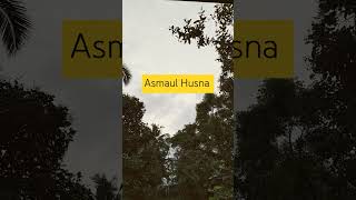 Asmaul Husna