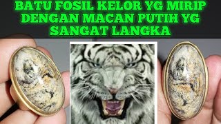 BATU FOSIL KELOR MIRIP DENGAN CORAK MACAN PUTIH