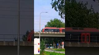 R-net flirt 3 gespot spoorbrug Alphen aan de Rijn #aviation #train #rnet #short #viralshort