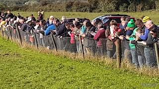 A double for the Leen family from Ballymac at Kilflynn coursing 2023.