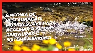 Restauração do Sistema Nervoso, Música Suave para Acalma a alma