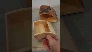 Log box with secret compartment