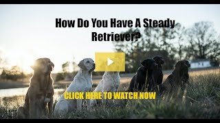 How Do You Have A Steady Retriever