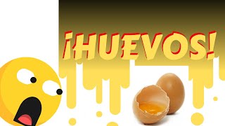 LOS HUEVOS EN LA COCINA🥚🍳¿Por qué el HUEVO se ENDURECE con el agua hirviendo?- CHEF MODE MEDIA