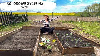 # vlog ze wsi.Majowy spacer po ogrodzie. Ogórki, kwiatki,zakupy i kolorowe skrzyneczki. Dzieje się.