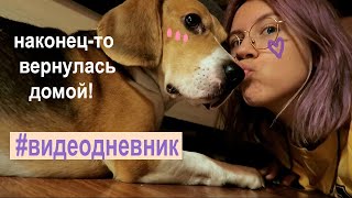 самый добрый влог 🍑 моя собака, младшая сестра и фигурное катание