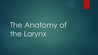 Learn the Anatomy of the Larynx in 10 Minutes!