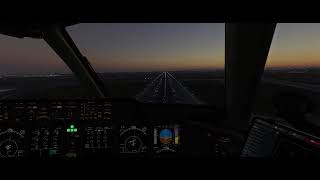 A Real CRJ Pilot landing the MD11F In MSFS