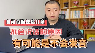 自闭症（孤独症）儿童不说话的原因可能是他不会发音