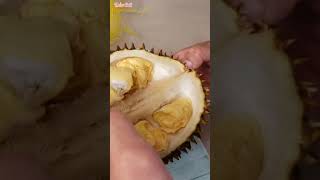 Open durian super fast #shorts