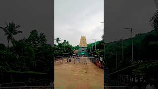 chinhachalam very famous the temple # vizag thoughts # earth on incredible #.