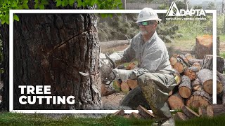 Tree-cutting after a Hurricane: Best Practices in Chainsaw Use | ADAPTA Series