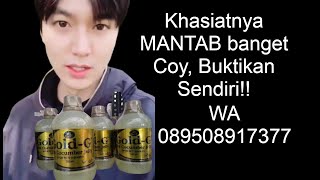 21 Manfaat jelly gamat gold G | Review lengkap