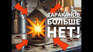 Как избавиться от тараканов БЕСПЛАТНО за 5 минут в домашних условиях! ЛОВУШКА от ТАРАКАНОВ