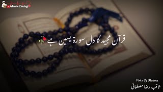 Surah Yaseen Ki Fazilat Molana Saqib Raza Mustafai (WhatsApp Status With Urdu Lyrics)