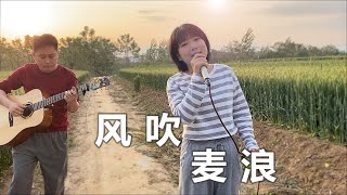 麦田里吉他弹唱《风吹麦浪》唯美的画面，动听的声音！