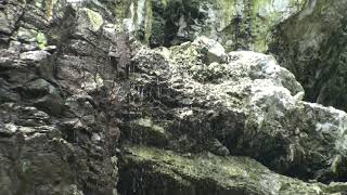 Agua dulce Isla Malpelo