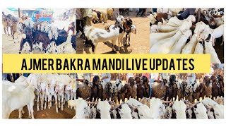 18MAY AJMER BAKRA MANDI LIVE UPDATE GOAT MARKET COVER WITH PRICE/RAJASTHAN BIGGEST MANDI#live#2024