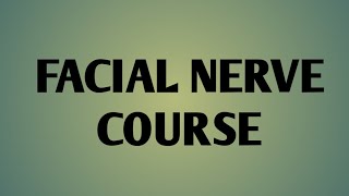 Facial nerve course and full description PART 2