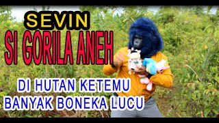 Sevin GORILA LUCU jalan jalan di hutan mendapat boneka baru