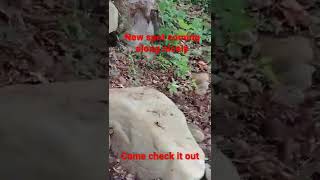 Epic New Crawling Spot with some Hard Lines come check out the videos