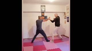 JEET KUNE DO TRAINING BRUCE LEE'S MARTIAL ARTS