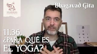 BHAGAVAD GITA 11.36 | ¿Para qué es realmente el yoga? (capítulo 11, verso 36) [en español]