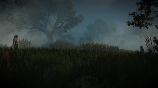 The Witcher 3 Finding Ciri Cut Scene (Spoiler)