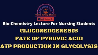 Fate of Pyruvate, ATP Production and Gluconeogenesis Lecture for Nursing Students