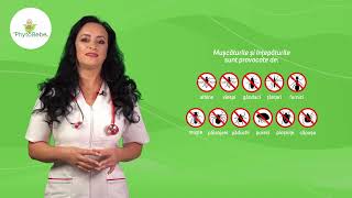 PhytoBebe - Dr. Simona Rus - Mușcături de insecte