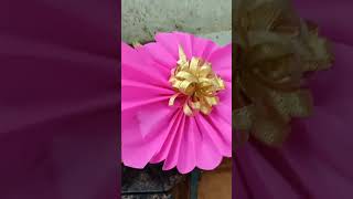 romantic mood with flowers#short video