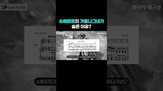 슈베르트의 연가곡 '겨울 나그네'가 슬픈 이유? #shorts