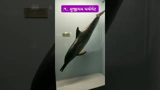 મુજીયમ ભાગ..1.. ચર્ચગેટ બોમ્બે