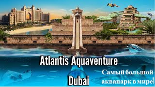 Обзор Аквапарка Atlantis Dubai.