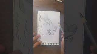 Wolf drawing #drawing #drawingskill #howtodraw #drawingtutorial #art #shorts