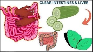 Cleanse the Liver and Intestines in 3 days! All the dirt will come out of the body