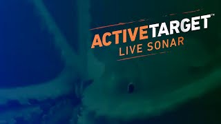 Риболов на калмари с Lowrance Active Target | Squid Fishing