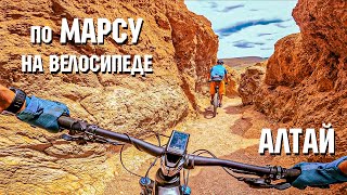 по МАРСУ на велосипеде | Алтай